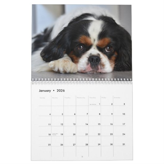 Cavalier King Charles Spaniel Hond #2 Kalender (Jan 2026)