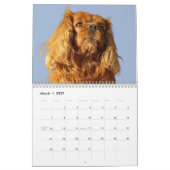 Cavalier King Charles Spaniel Hond #2 Kalender (Mar 2027)