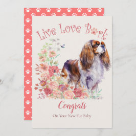 Cavalier King Charles Spaniel Hond Adoptie, Gotcha Kaart