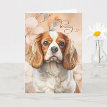 Cavalier King Charles Spaniel Hond Blossom Verjaar