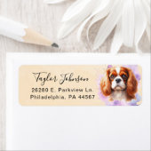 Cavalier King Charles Spaniel-hond retouradres Etiket (Insitu)