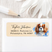 Cavalier King Charles Spaniel-hond retouradres Etiket (Insitu)