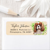Cavalier King Charles Spaniel-hond retouradres Etiket (Insitu)