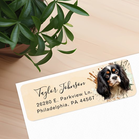 Cavalier King Charles Spaniel-hond retouradres Etiket