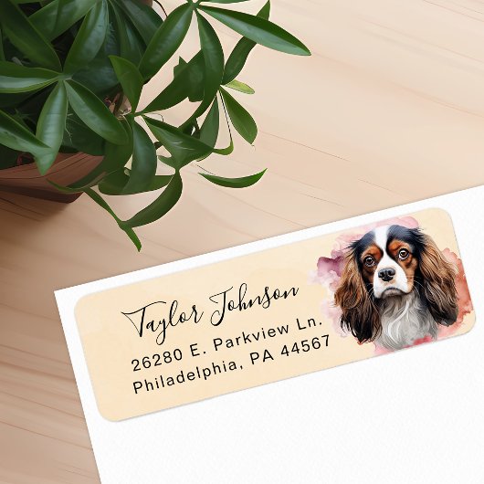 Cavalier King Charles Spaniel-hond retouradres Etiket