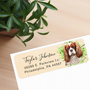 Cavalier King Charles Spaniel-hond retouradres Etiket