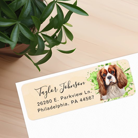 Cavalier King Charles Spaniel-hond retouradres Etiket