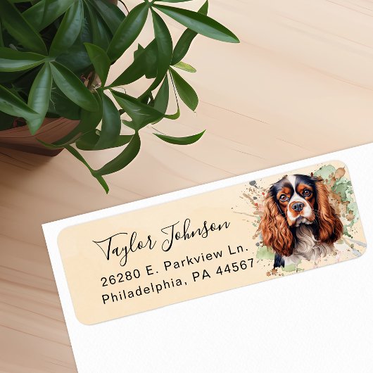 Cavalier King Charles Spaniel-hond retouradres Etiket