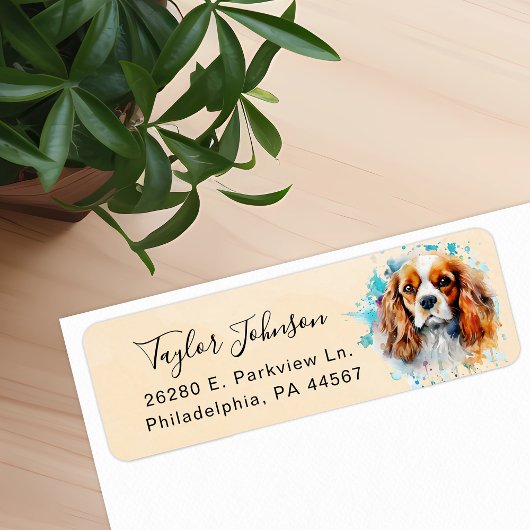 Cavalier King Charles Spaniel-hond retouradres Etiket