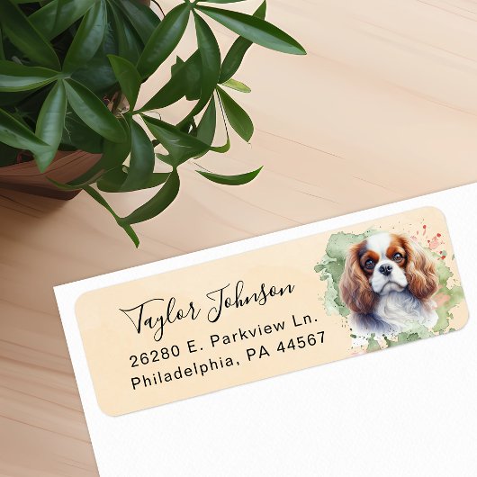 Cavalier King Charles Spaniel-hond retouradres Etiket
