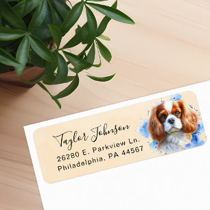 Cavalier King Charles Spaniel-hond retouradres Etiket