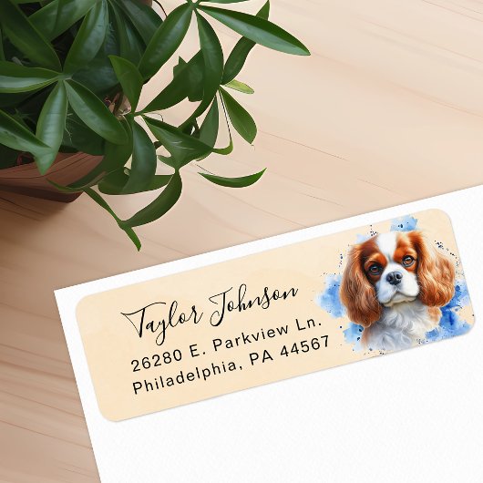 Cavalier King Charles Spaniel-hond retouradres Etiket