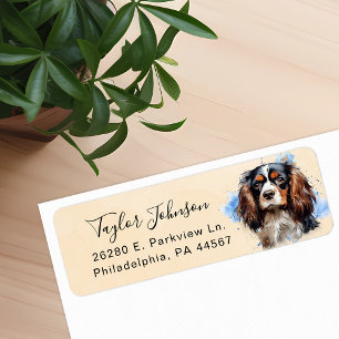 Cavalier King Charles Spaniel-hond retouradres Etiket