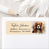 Cavalier King Charles Spaniel-hond retouradres Etiket (Insitu)