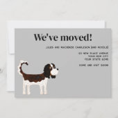 Cavalier King Charles Spaniel Hond Verhuizen Nieuw Aankondiging (Voorkant)