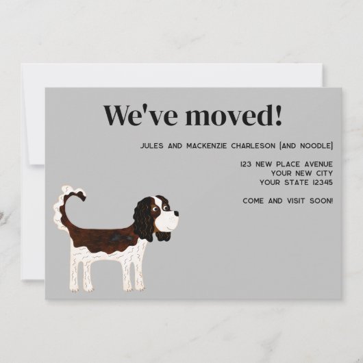 Cavalier King Charles Spaniel Hond Verhuizen Nieuw Aankondiging (Voorkant)