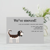 Cavalier King Charles Spaniel Hond Verhuizen Nieuw Aankondiging (Staand voorkant)