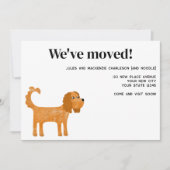 Cavalier King Charles Spaniel Hond Verhuizen Nieuw Aankondiging (Voorkant)