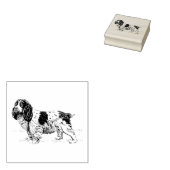 Cavalier King Charles Spaniel Hondenras Rubberstempel (Gestempeld)