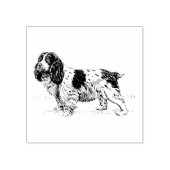 Cavalier King Charles Spaniel Hondenras Rubberstempel (Afrduk)