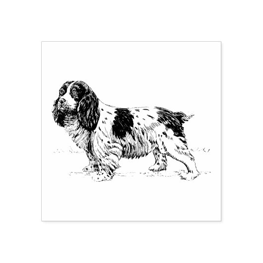 Cavalier King Charles Spaniel Hondenras Rubberstempel (Afrduk)