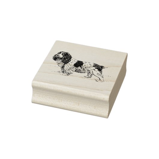Cavalier King Charles Spaniel Hondenras Rubberstempel (Stempel)