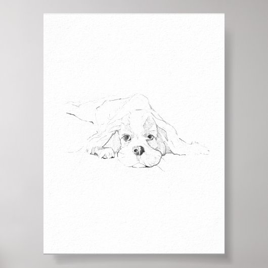Cavalier King Charles Spaniel Huisdier Poster (Voorkant)