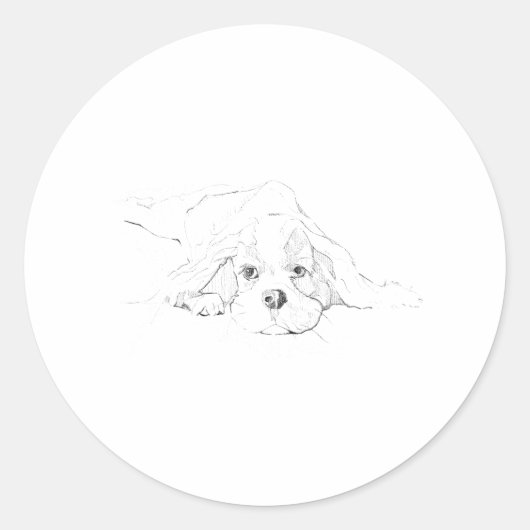 Cavalier King Charles Spaniel Huisdier Ronde Sticker (Voorkant)