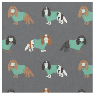 Cavalier King Charles Spaniel in gaswassers Stof