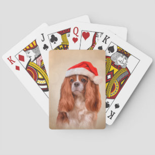 Cavalier King Charles Spaniel in het rode pet van  Pokerkaarten