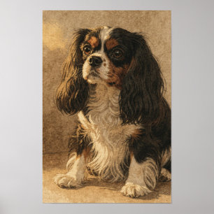 Cavalier King Charles Spaniel in inkt en linnen Poster
