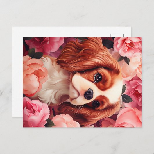 Cavalier King Charles Spaniel in Roos Briefkaart (Voorkant / Achterkant)