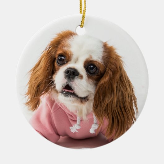 Cavalier King Charles Spaniel in roze jas Keramisch Ornament (Voorkant)