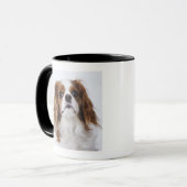 Cavalier King Charles Spaniel in studio Mok (Voorkant links)