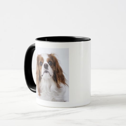 Cavalier King Charles Spaniel in studio Mok (Voorkant links)