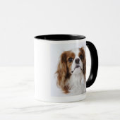 Cavalier King Charles Spaniel in studio Mok (Voorkant rechts)