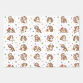 Cavalier King Charles Spaniel  Inpakpapier Vel (Voorkant)
