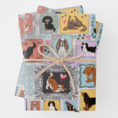 Cavalier King Charles Spaniel Inpakpapier Vel (In situ)
