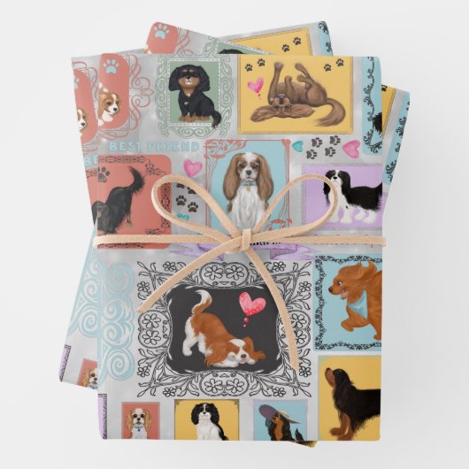 Cavalier King Charles Spaniel Inpakpapier Vel (In situ)