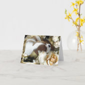 Cavalier King Charles Spaniel Kaart (Gele Bloem)