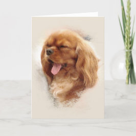 Cavalier King Charles Spaniel Kaart