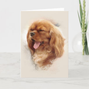 Cavalier King Charles Spaniel Kaart