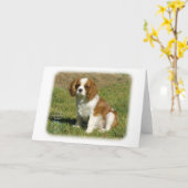 Cavalier King Charles Spaniel Kaart (Gele Bloem)