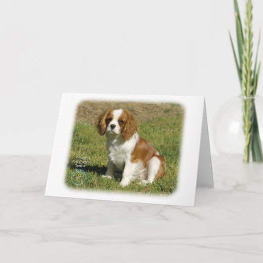 Cavalier King Charles Spaniel Kaart (Voorkant)