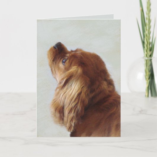 Cavalier King Charles Spaniel Kaart (Voorkant)