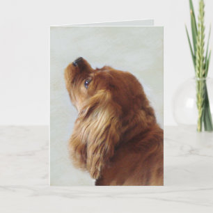 Cavalier King Charles Spaniel Kaart
