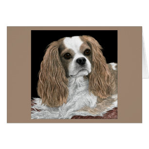 Cavalier King Charles Spaniel Kaart - Bella