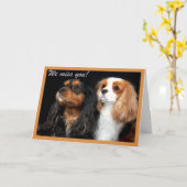 Cavalier King Charles Spaniel kaart - We miss you (Gele Bloem)