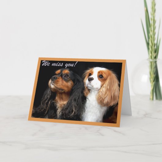 Cavalier King Charles Spaniel kaart - We miss you (Voorkant)
