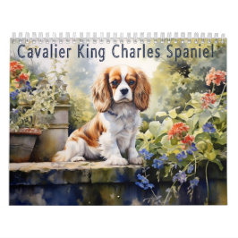 Cavalier King Charles Spaniel Kalender, elk jaar Kalender